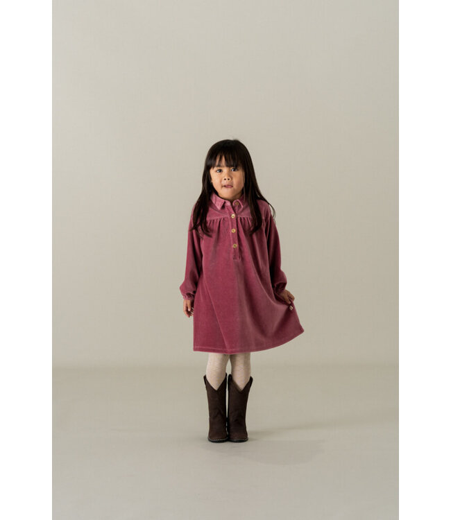 Tights Pelerine 23 Oatmeal by HOJ