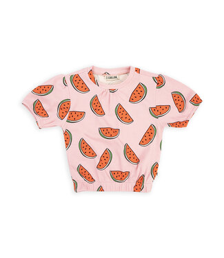 CarlijnQ Watermelon - puffed short sleeve  by CarlijnQ