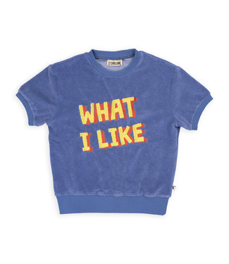 CarlijnQ What I Like - sweater short sleeve with embroidery  by CarlijnQ