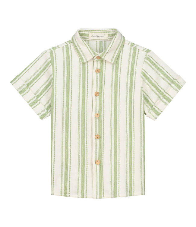 Ivan blouse green stripe  by Charlie Petite
