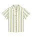 Charlie Petite Ivan blouse green stripe  by Charlie Petite
