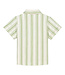 Ivan blouse green stripe  by Charlie Petite
