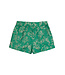 TNKira Shorts Holly Green by The New