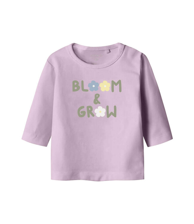 NBFTAYS LS TOP BOX Winsome Orchid by Name it