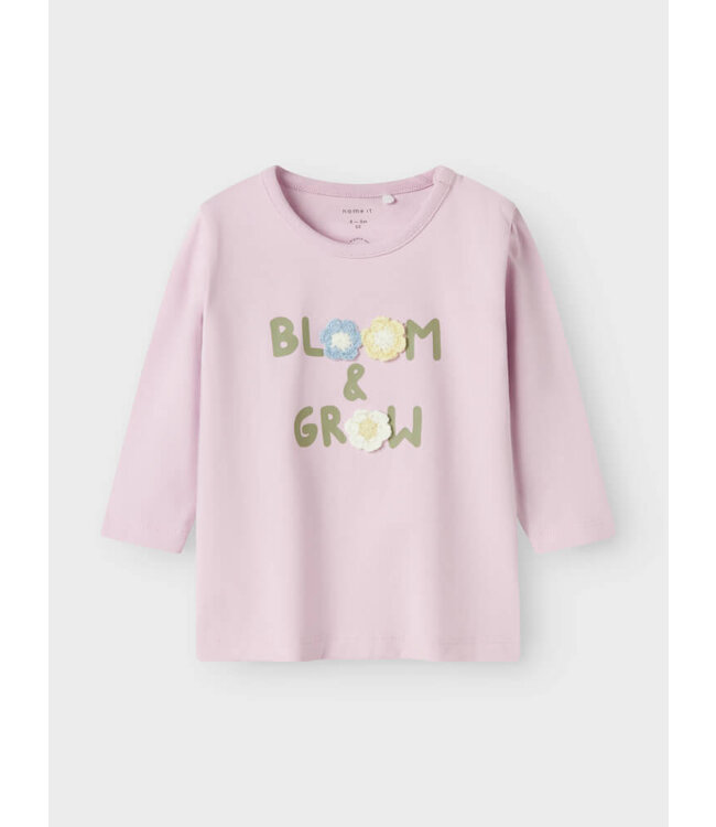 NBFTAYS LS TOP BOX Winsome Orchid by Name it