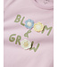 NBFTAYS LS TOP BOX Winsome Orchid by Name it