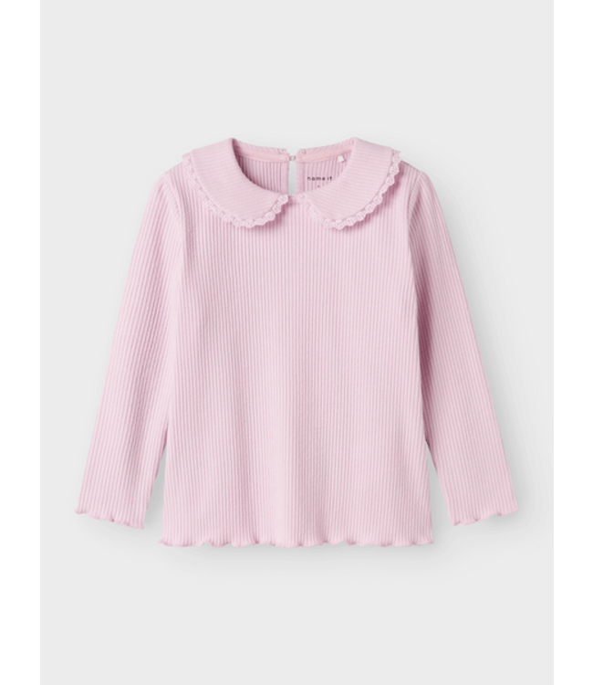NMFBAILA LS TOP winsome orchid by Name it