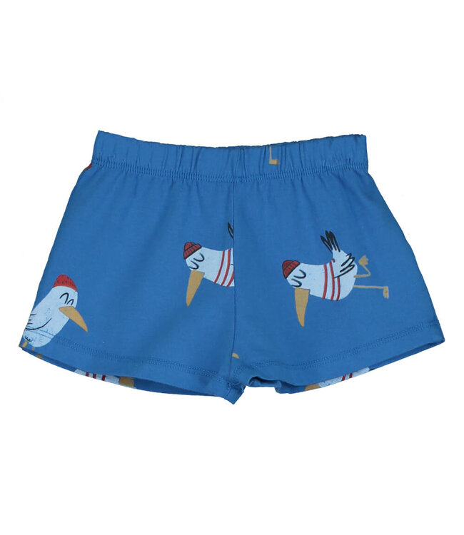 BABY SHORT ROYAL BLUE  SEAGULLS ALLOVER by Lötiekids
