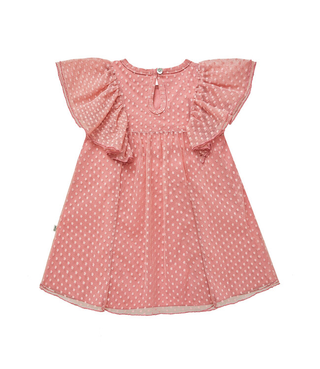 Butterfly Dress Rose (Mesh) by HoJ