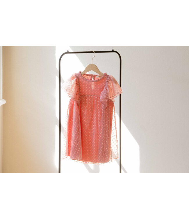 Butterfly Dress Rose (Mesh) by HoJ