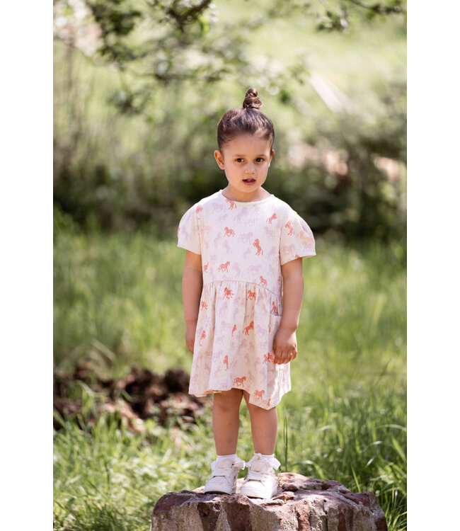 Relaxed Pocket Dress Wild Horses by HoJ
