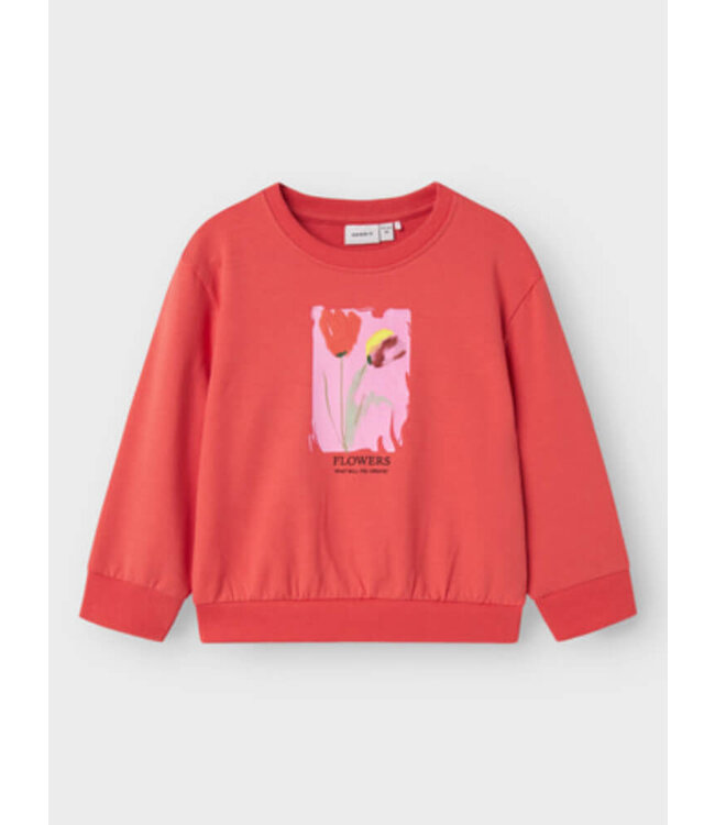 NMFFATIMA NREG SWEAT UNB Spiced Coral by Name it