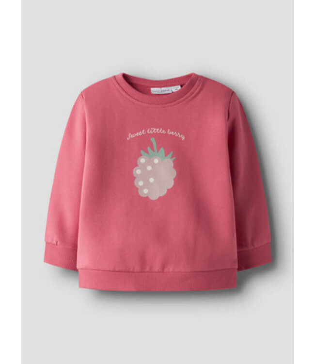 NBFVRILLIE LS SWEAT BOX BRU Rapture Rose Raspberry by Name it