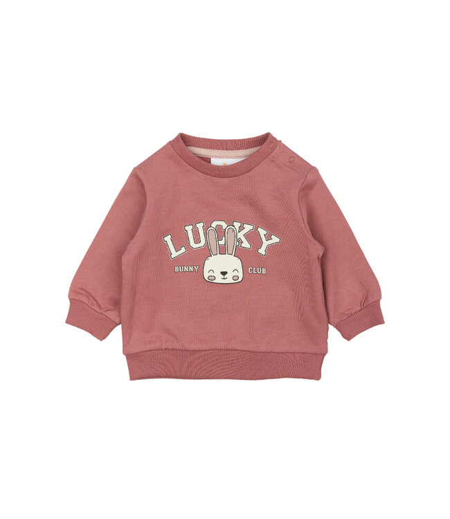 TNSBPheba Sweatshirt Withered Rose by The New