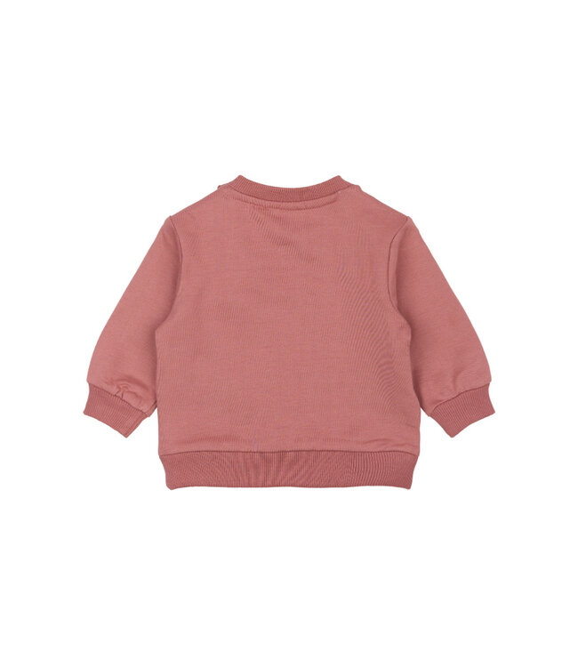 TNSBPheba Sweatshirt Withered Rose by The New