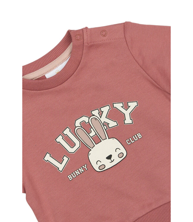 TNSBPheba Sweatshirt Withered Rose by The New