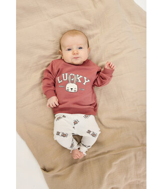 The New TNSBPheba Sweatshirt Withered Rose by The New