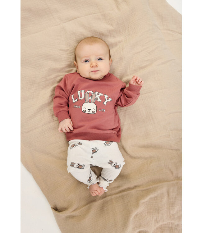 TNSBPheba Sweatshirt Withered Rose by The New