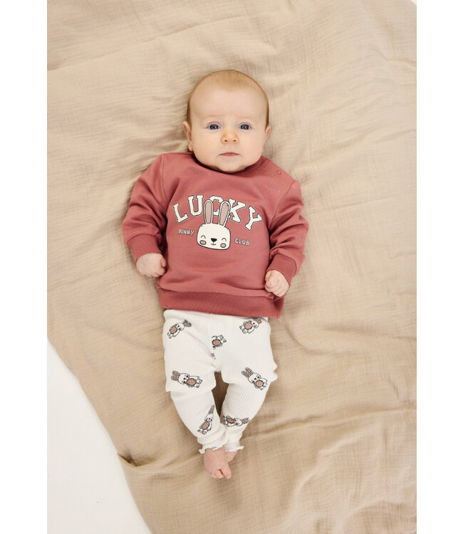 TNSBPheba Sweatshirt Withered Rose by The New