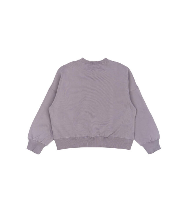 TNPrecious OS Sweatshirt GRAY RIDGE by The New