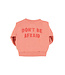 Sweatshirt | Pink w/ "hey jude" print  by Piupiuchick