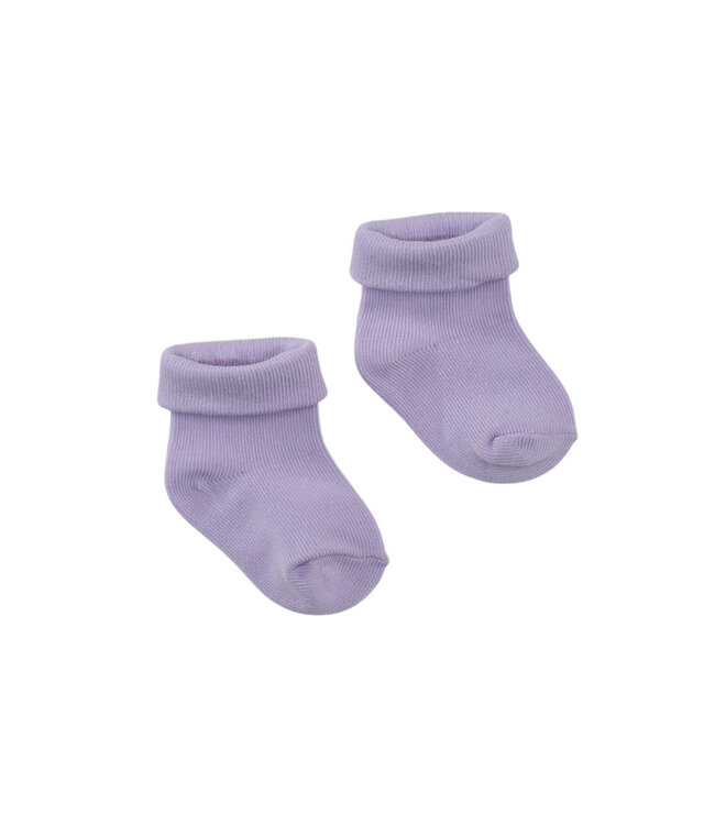 Sama Morning violet by Z8