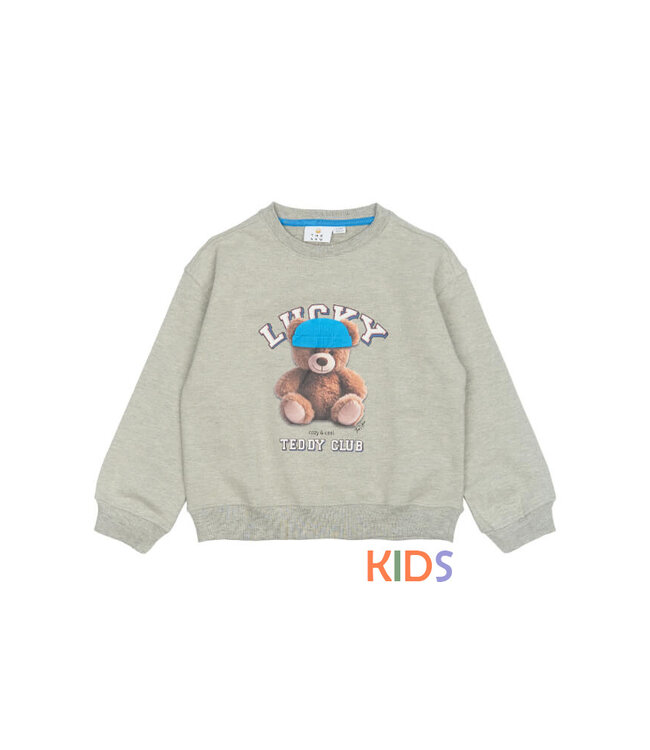 TNPendra OS Sweatshirt Light Grey Melange by The New