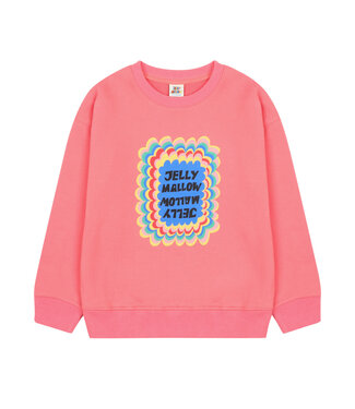 Jelly Mallow Zigzag Sweatshirt_Pink by Jelly Mallow