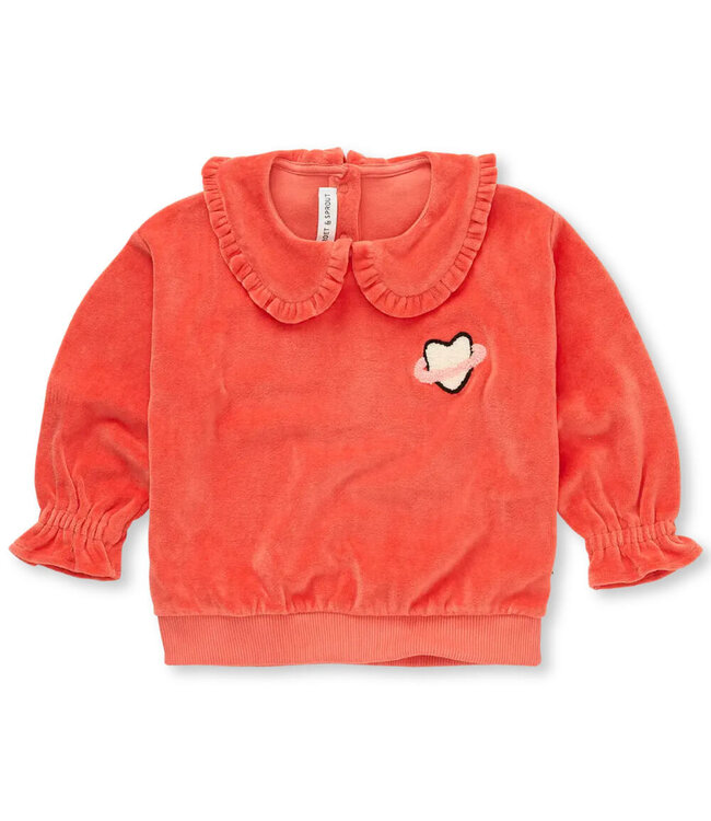 Sweatshirt velvet ruffle collar Grenadine by Sproet & Sprout