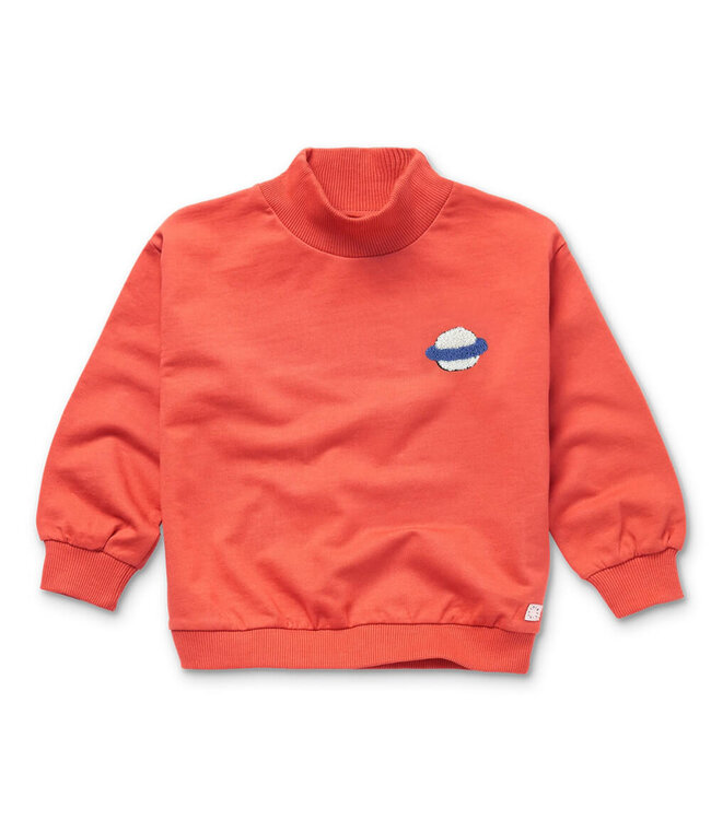 Sweatshirt turtle neck Grenadine by Sproet & Sprout