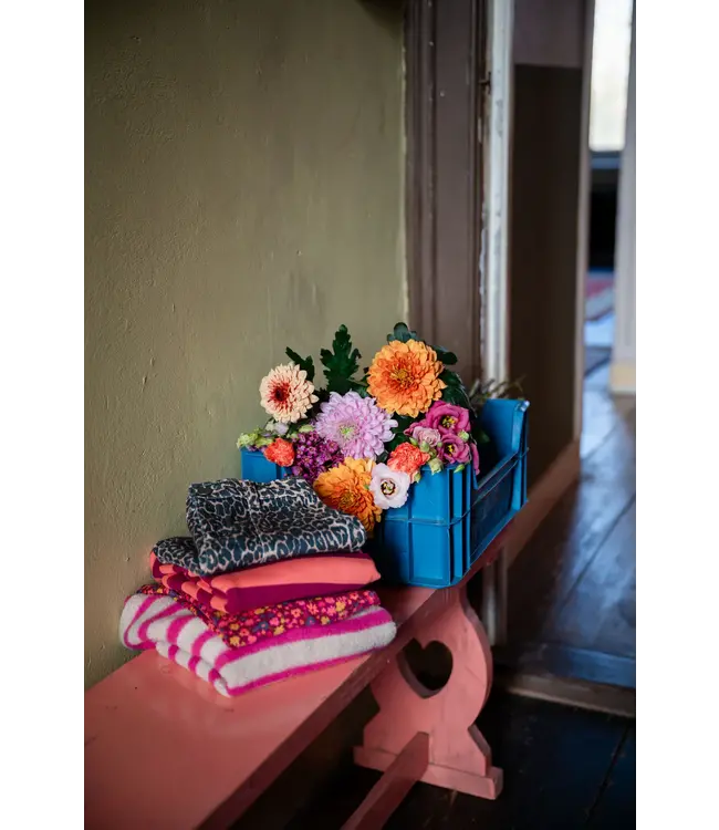 Wide Leg Jogger Fruit Dove by Petit Blush