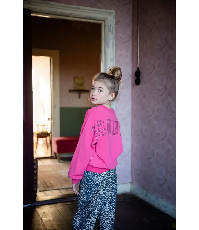 Luca Sweater Iconic Fruit Dove by Petit Blush