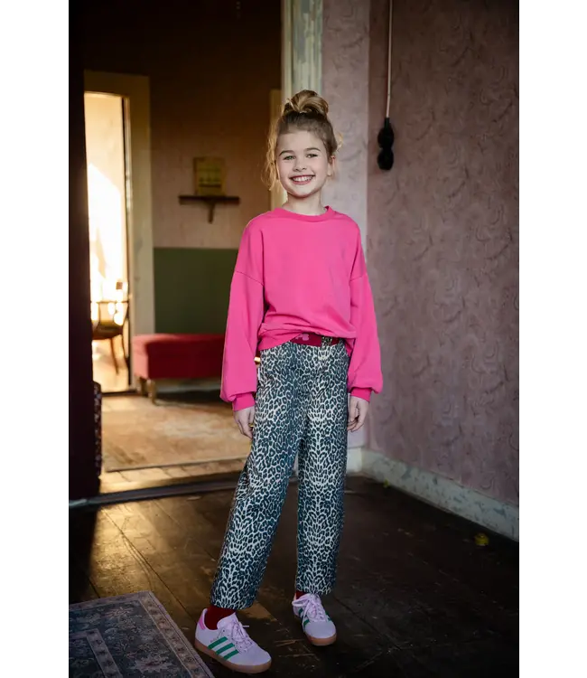 Luca Sweater Iconic Fruit Dove by Petit Blush