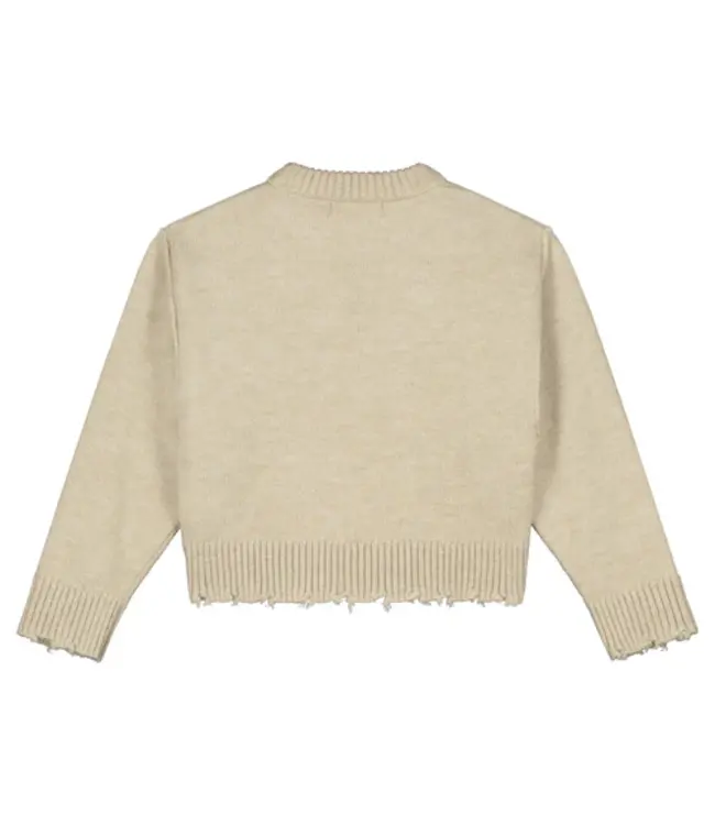 Joan Sweater Beige Melange by Charlie Petite