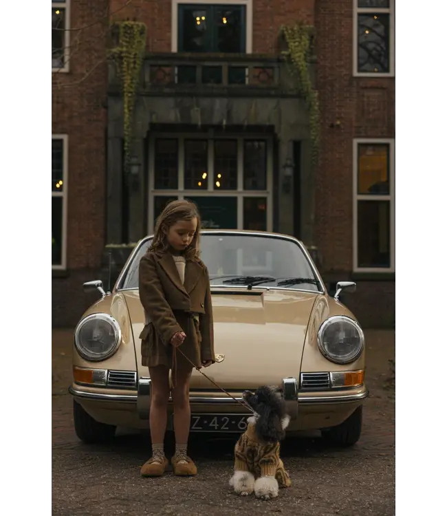 Joan Sweater Beige Melange by Charlie Petite