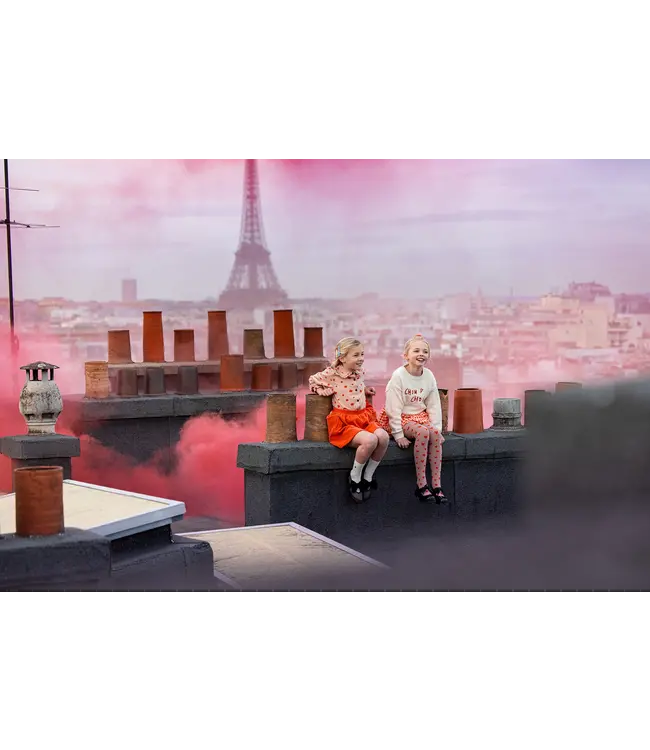 Skirt heart pockets  Grenadine by Sproet & Sprout