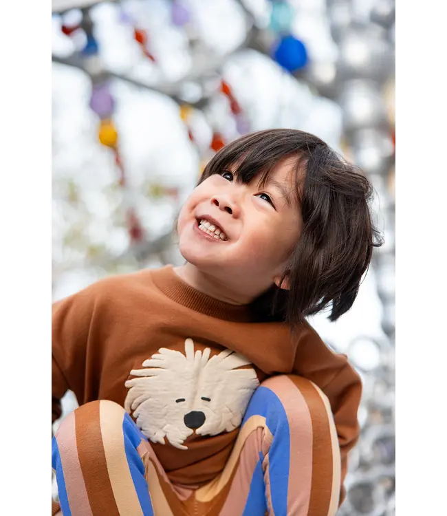 Sweatshirt moustache dog Mocca by Sproet & Sprout