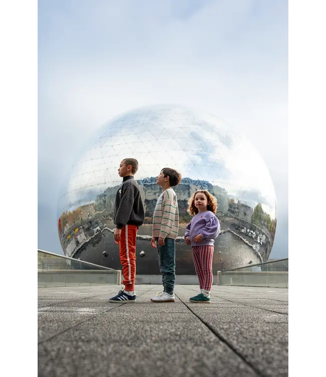 Sweatshirt puff sleeves heart Lavender by Sproet & Sprout