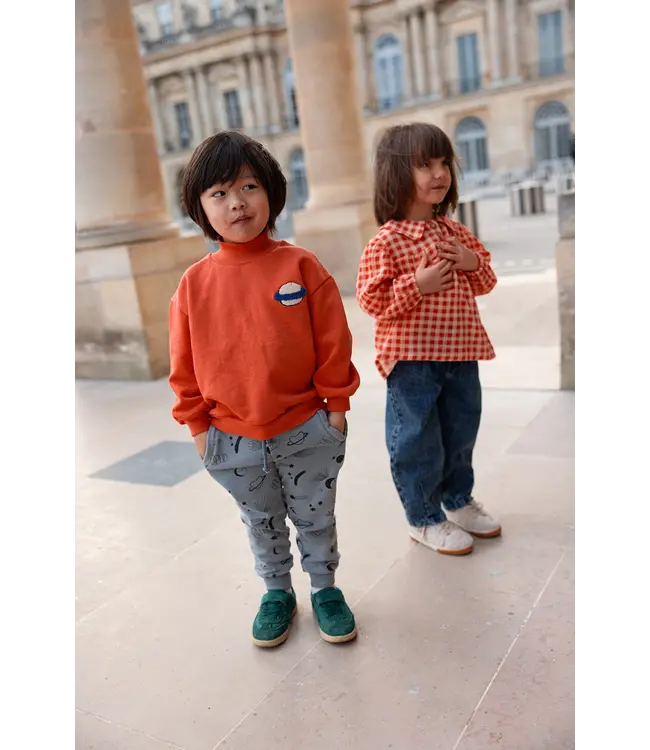 Sweatshirt turtle neck Grenadine by Sproet & Sprout