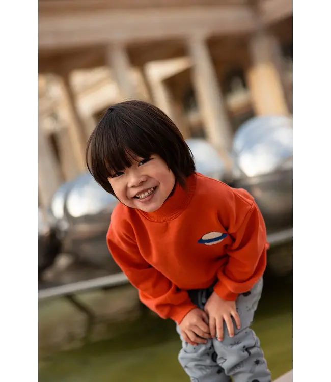 Sweatshirt turtle neck Grenadine by Sproet & Sprout