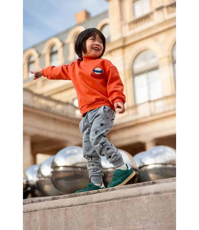 Sweatshirt turtle neck Grenadine by Sproet & Sprout