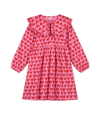 Daily Brat ADORE DRESS ROSY REBEL  by Daily Brat
