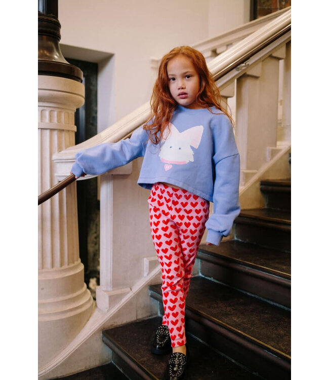 KITTY CAT CROPPED SWEATER PANSI PARASIDE  by Daily Brat