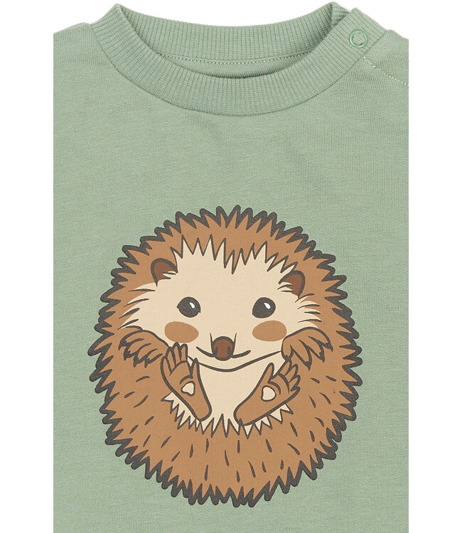 TNSBRex Sweatshirt Lily Pad by The New