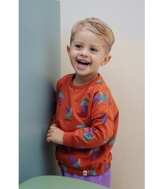 The new chapter Bobbie  sweater Frogs by The new chapter