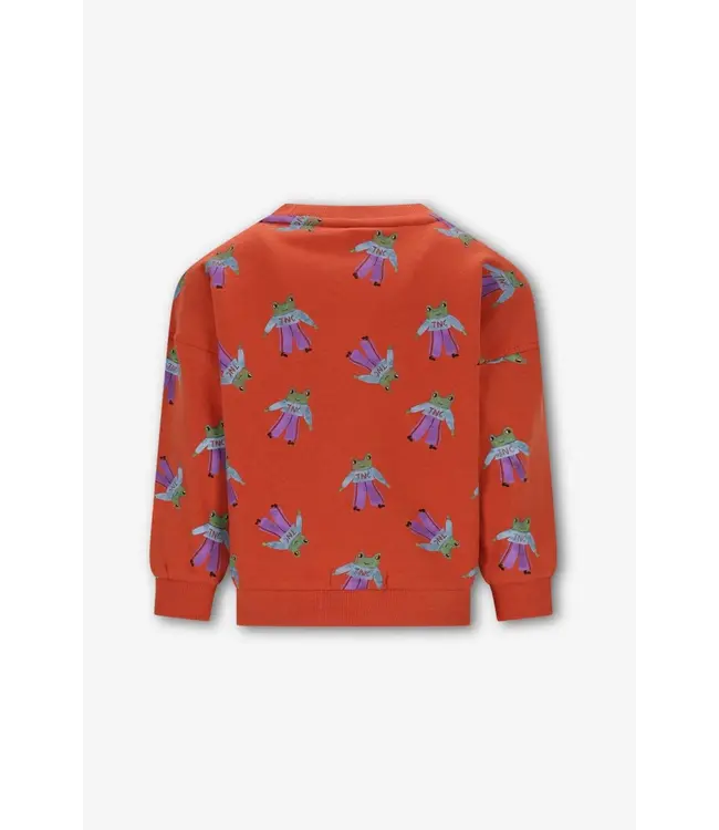 Bobbie  sweater Frogs by The new chapter