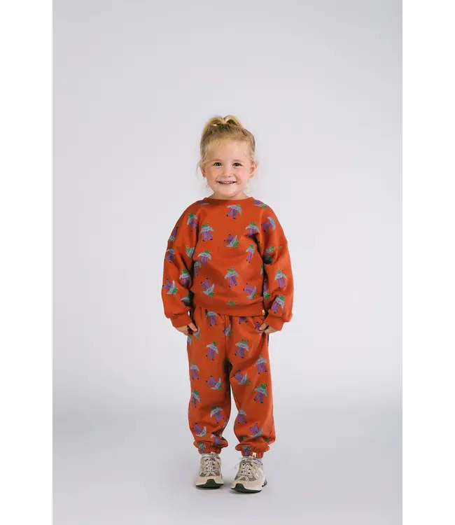 Bobbie  sweater Frogs by The new chapter