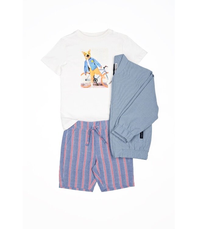 ALFIE-SB-34-N MULTI by Someone