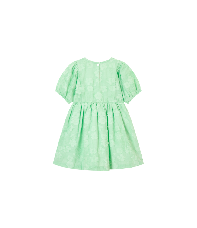 ANIEK-SG-51-J SOFT MINT by Someone