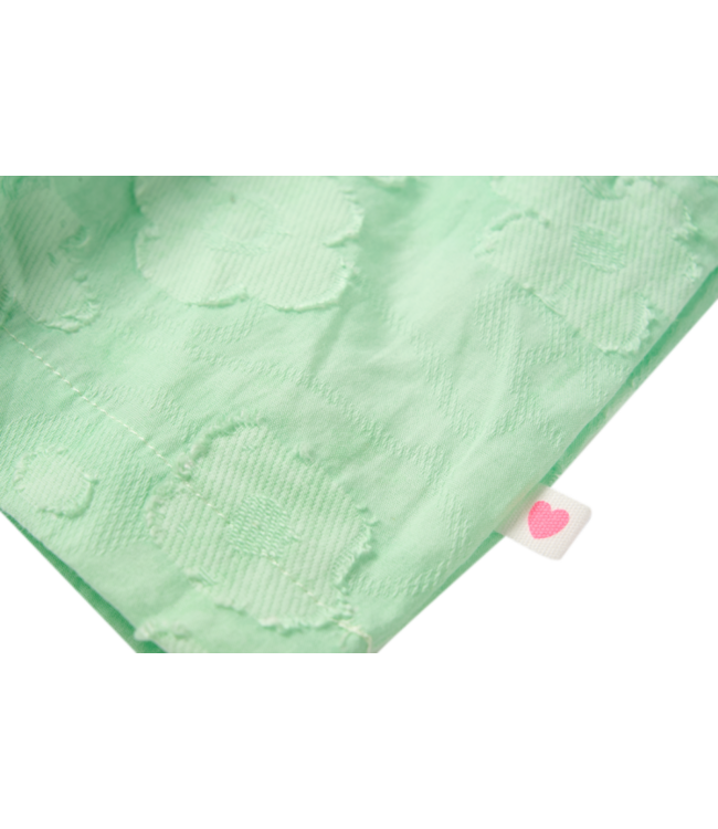 ANIEK-SG-51-J SOFT MINT by Someone